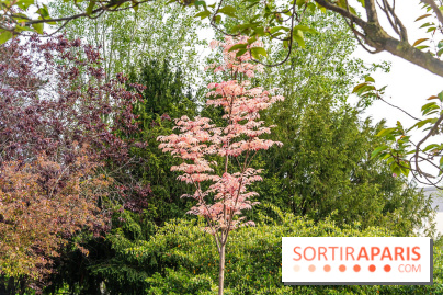 Parc de Choisy - Paris 13e -  A7C1209