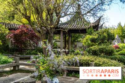 Jardin Yili, le jardin chinois caché dans les Yvelines -  A7C2189