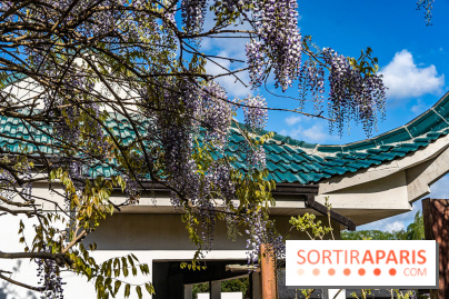 Jardin Yili, le jardin chinois caché dans les Yvelines -  A7C2197