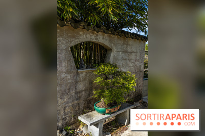 Jardin Yili, le jardin chinois caché dans les Yvelines -  A7C2213