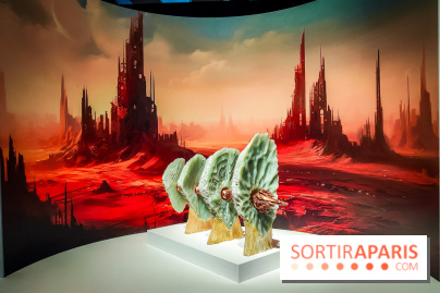 Arabofuturs : l'exposition entre science-fiction et prédictions à l'Institut du Monde Arabe - photos - IMG20240422100558