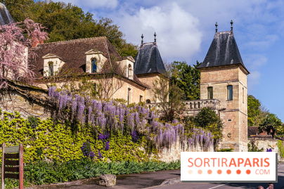 Village de Medan dans les Yvelines -  château de Medan - glycine