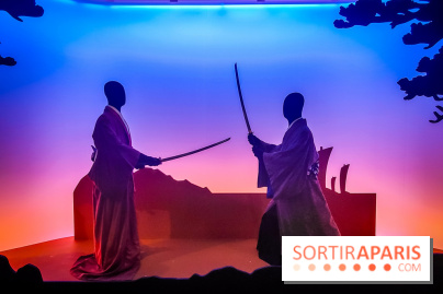 Duels, l'exposition qui nous plonge dans l'art du combat au musée de l'Armée - nos photos - IMG20240423100804