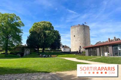 Château de Dourdan - nos photos - image00038