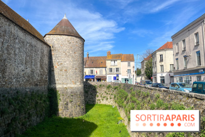 Château de Dourdan - nos photos - image00039