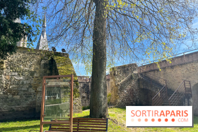 Château de Dourdan - nos photos - image00035