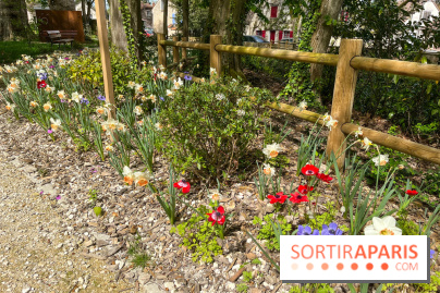 Le parc Lejars-Rouillon - nos photos - image00019