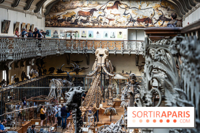 La Galerie de Paléontologie et d'Anatomie comparée du Muséum au Jardin des Plantes