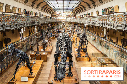 La Galerie de Paléontologie et d'Anatomie comparée du Muséum au Jardin des Plantes