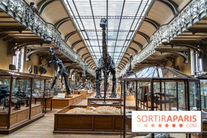 La Galerie de Paléontologie et d'Anatomie comparée du Muséum au Jardin des Plantes -  A7C7472