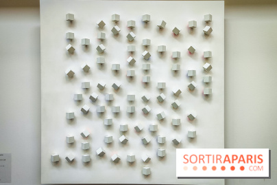 Le MAC-VAL, le musée d'art contemporain du Val-de-Marne et ses collections à portée de Navigo - Luis Tomasello