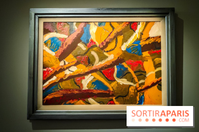 Le MAC-VAL, le musée d'art contemporain du Val-de-Marne et ses collections à portée de Navigo - Camille van Meeren