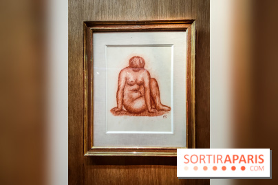 Le musée Maillol et ses collections à Paris - IMG20240425105848