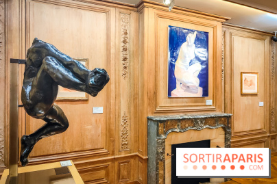 Le musée Maillol et ses collections à Paris - IMG20240425105919