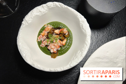 Quelque Part - Homard bleu