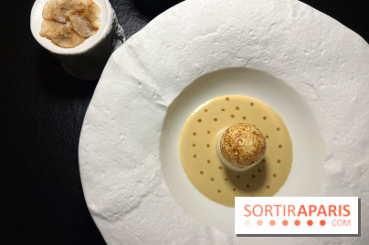 Quelque Part - Ile flottante de Saint-Jacques