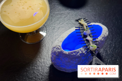 Quelque Part - Chips encre de seiche et couteau