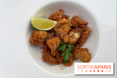 Marquis - Encornets frits