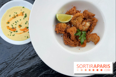 Marquis - Encornets frits