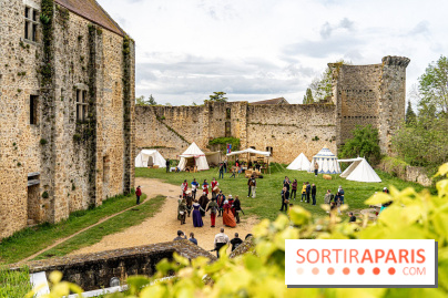 Les Rendez-vous de la Madeleine à Chevreuse -  A7C2549