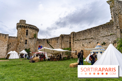 Les Rendez-vous de la Madeleine à Chevreuse -  A7C2494