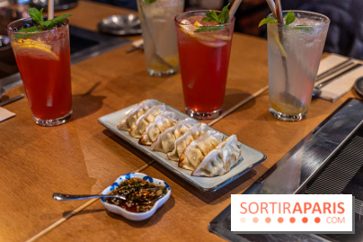 Hwaro Grill, le barbecue Coréen Paris 15e -  raviolis frits