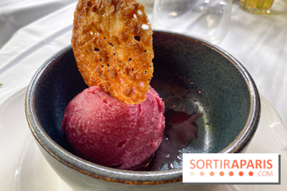 Le restaurant Sonia - IMG 2970