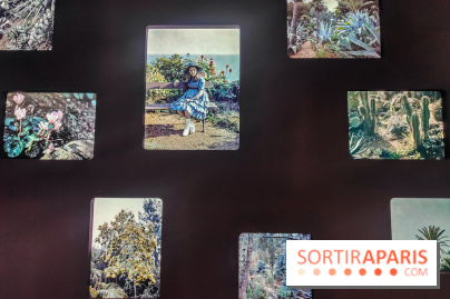 Natures vivantes : l'exposition photo qui met à l'honneur les jardins du musée Albert Kahn - photos