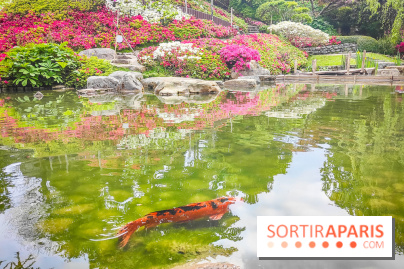 Natures vivantes : l'exposition photo qui met à l'honneur les jardins du musée Albert Kahn - photos - IMG20240429154837