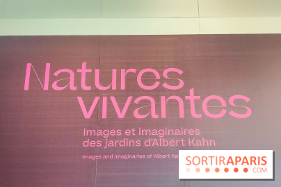 Natures vivantes : l'exposition photo qui met à l'honneur les jardins du musée Albert Kahn - photos