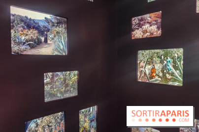 Natures vivantes : l'exposition photo qui met à l'honneur les jardins du musée Albert Kahn - photos