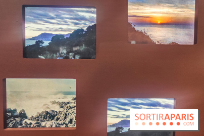 Natures vivantes : l'exposition photo qui met à l'honneur les jardins du musée Albert Kahn - photos - IMG20240429145449