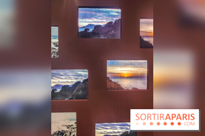 Natures vivantes : l'exposition photo qui met à l'honneur les jardins du musée Albert Kahn - photos