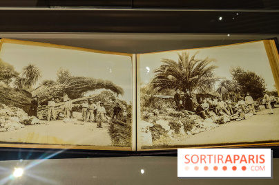 Natures vivantes : l'exposition photo qui met à l'honneur les jardins du musée Albert Kahn - photos