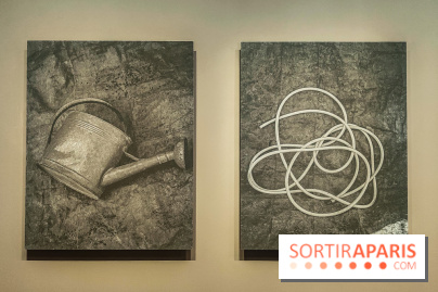 Natures vivantes : l'exposition photo qui met à l'honneur les jardins du musée Albert Kahn - photos