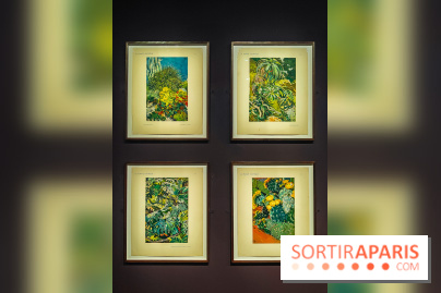 Natures vivantes : l'exposition photo qui met à l'honneur les jardins du musée Albert Kahn - photos - IMG20240429145747