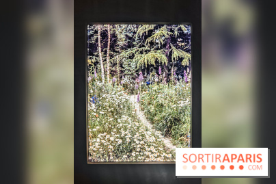 Natures vivantes : l'exposition photo qui met à l'honneur les jardins du musée Albert Kahn - photos