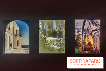Natures vivantes : l'exposition photo qui met à l'honneur les jardins du musée Albert Kahn - photos