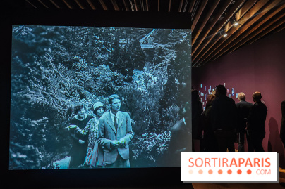 Natures vivantes : l'exposition photo qui met à l'honneur les jardins du musée Albert Kahn - photos - IMG20240429145213