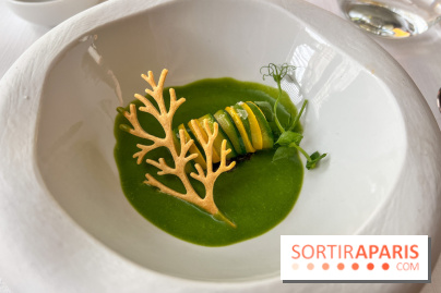 Mavrommatis : Menu Initiation - Mavrommatis