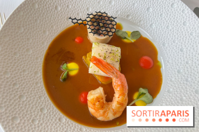 Mavrommatis : Menu Initiation - Psarosoupa