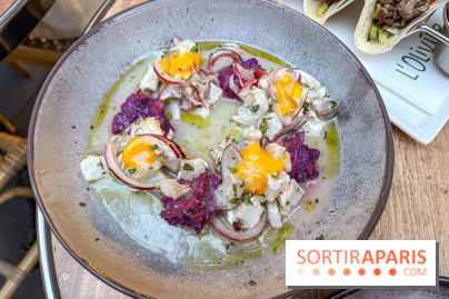 L'olivier - IMG 0289