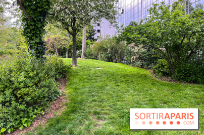 Jardin Villemin - nos photos - image00026