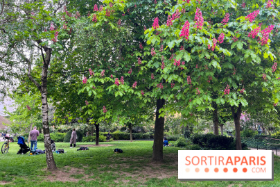 Jardin Villemin - nos photos - image00020