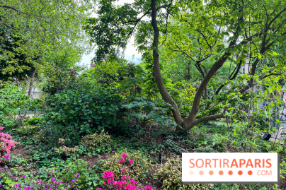 Jardin Villemin - nos photos - image00015