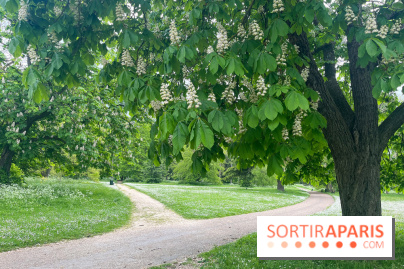 Le parc de Bois-Préau - nos photos