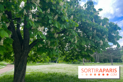 Le parc de Bois-Préau - nos photos - image00004