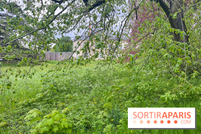 Le parc de Bois-Préau - nos photos - image00001