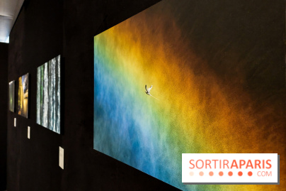 Reflets de la nature, nos photos de l'exposition - 20240507 141029