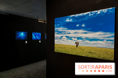 Reflets de la nature, nos photos de l'exposition - 20240507 141333